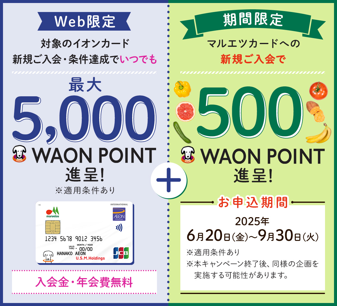 Web限定 対象のイオンカード 新規ご入会・条件達成でいつでも最大5,000WAON POINT 進呈！ ※適用条件あり 入会金・年会費 無料 期間限定 マルエツカードへの新規ご入会で500WAON POINT進呈！ お申込期間 2025年6月20日(金)～9月30日(火) ※適用条件あり ※本キャンペーン終了後、同様の企画を実施する可能性があります。