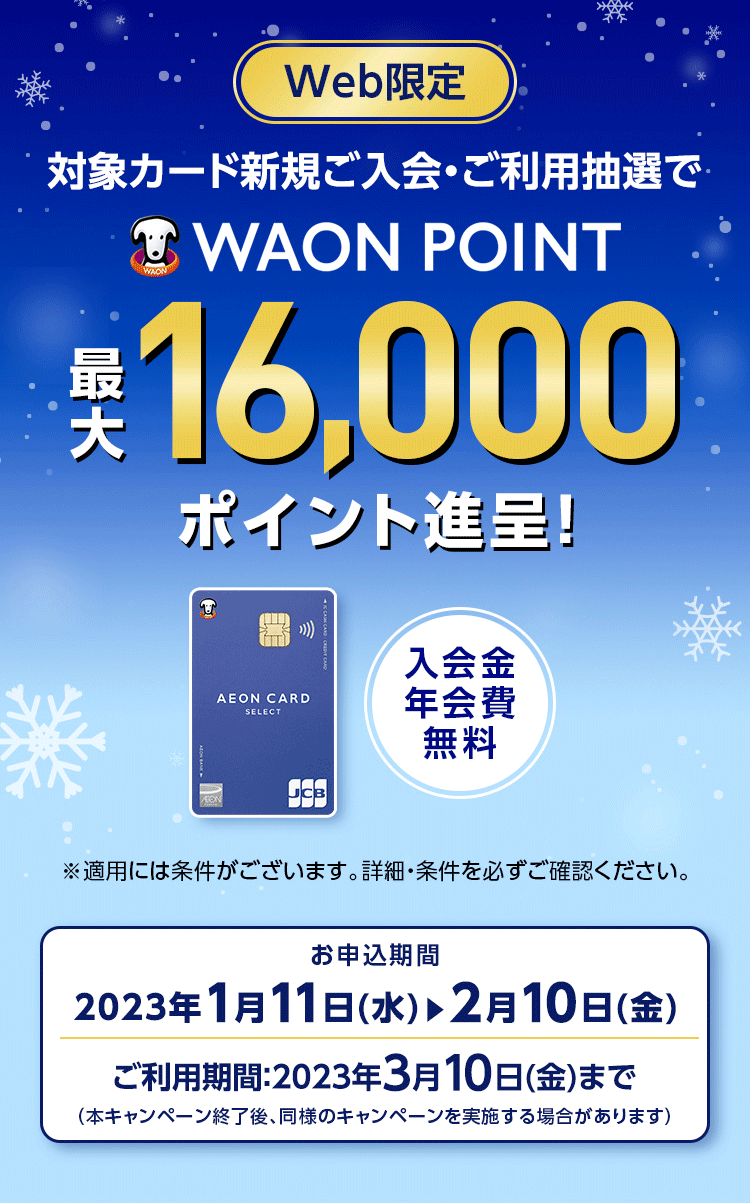 イオンカード新規ご入会 ご利用抽選で最大16 000waon Point進呈 イオンカード 暮らしのマネーサイト