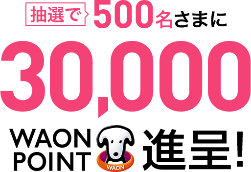 対象のイオンカード新規ご入会・ご利用抽選で最大31,000WAON POINT進呈