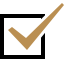 check icon