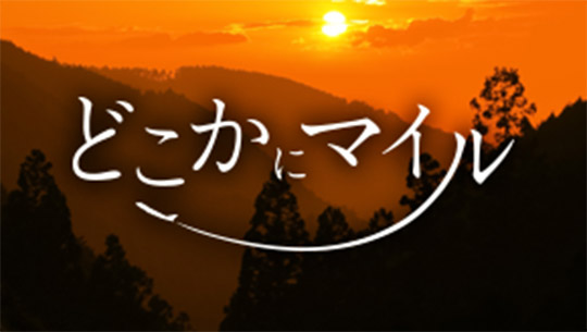 例えばこんな使い方 どこかにマイル