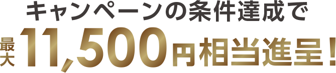 キャンペーンの条件達成で 最大 11,500円相当進呈!