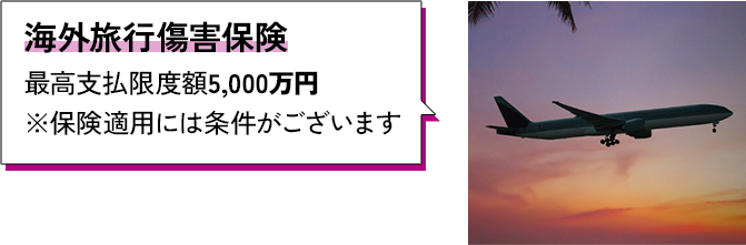 ［海外旅行傷害保険］最高支払限度額5,000万円 ※保険適用には条件がございます