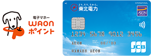 電子マネーWAONポイント