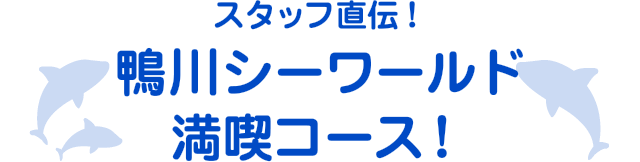 スタッフ直伝！鴨川シーワールド満喫コース！