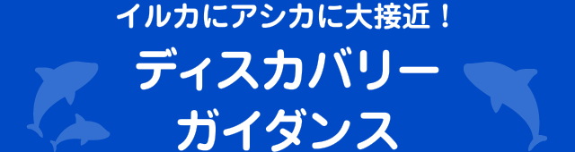 イルカにアシカに大接近！ディスカバリーガイダンス