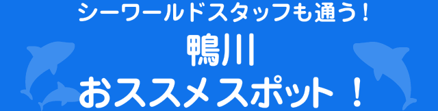 シーワールドスタッフも通う！鴨川おススメスポット！