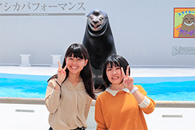 笑うアシカと記念写真