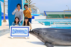 イルカと記念写真