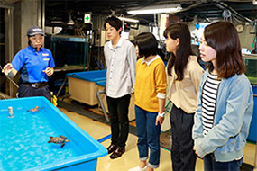 水族館まるごとウォッチング