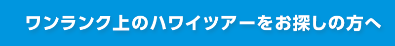 ワンランク上のハワイツアーをお探しの方へ