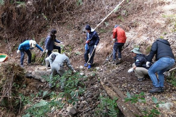 三瀬坂峠の倒木除去作業