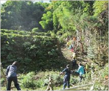 「石見銀山WAON」寄付活用事例