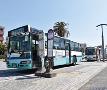 「犬吠WAON」寄付活用事例