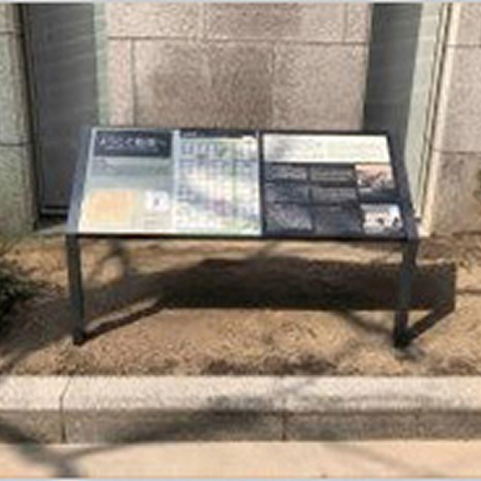 船場地区景観保全・魅力創出事業を支援しました。