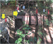 「熊野古道伊勢路WAON」寄付活用事例