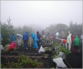 「しずおか富士山WAON」寄付活用事例