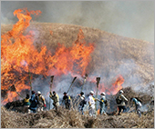 野焼き継続しました。