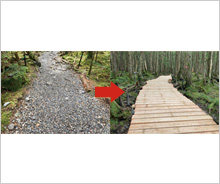 「信州アルプスWAON」寄付活用事例