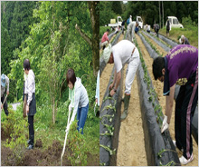 「里山里海ISHIKAWAON」寄付活用事例