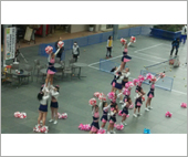 「元気とやまスポーツWAON」寄付活用事例