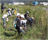 「兵庫コウノトリWAON」寄付活用事例
