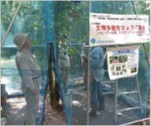 「兵庫コウノトリWAON」寄付活用事例