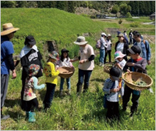子どもたちへの自然観察会等へ支援をしています