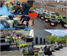 地域の緑化活動推進を支援しました。