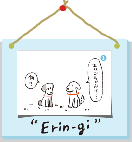 Erin-gi