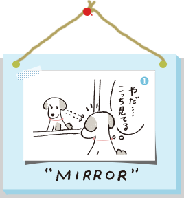 mirror