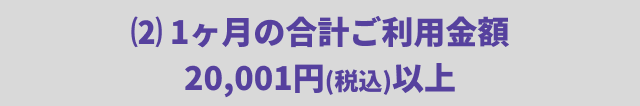 ⑵ 1ヶ月の合計ご利用金額20,001円(税込)以上