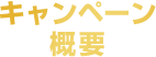 キャンペーン概要