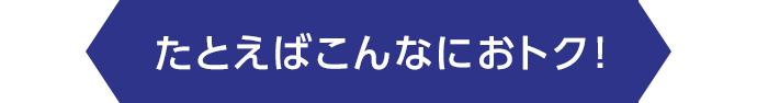 たとえばこんなにおトク！