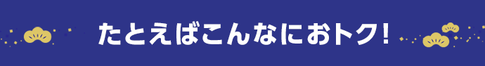 たとえばこんなにおトク！