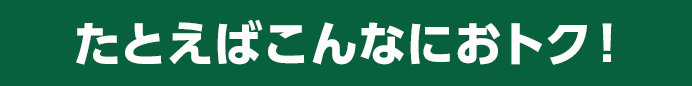 たとえばこんなにおトク！