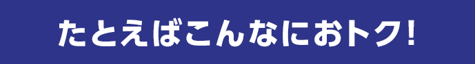 たとえばこんなにおトク！