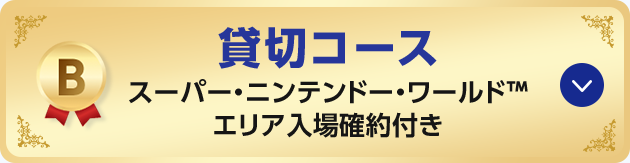 B 貸切コース スーパー・ニンテンドー・ワールド™ エリア入場確約付き