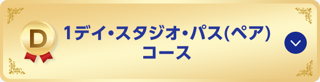 D 1デイ・スタジオ・パス(ペア)コース