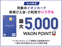 Web限定 対象のイオンカード 新規ご入会·ご利用でいつでも 最大5,000WAON POINT ※イオンウォレットご登録など適用条件あり ※累計1万円(税込)以上のご利用が対象