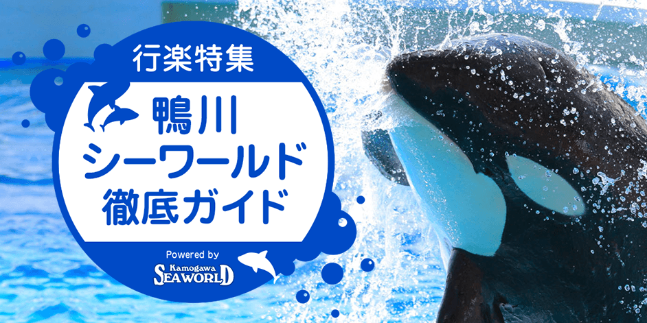 鴨川シーワールド徹底ガイド