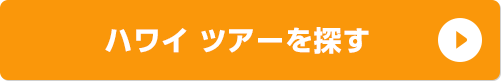 ハワイ ツアーを探す