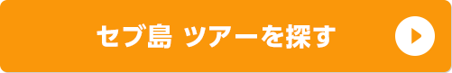 セブ島 ツアーを探す