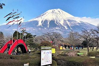 朝霧高原　もちや