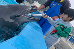 室戸ドルフィンセンター