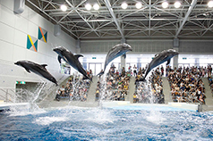 いおワールドかごしま水族館