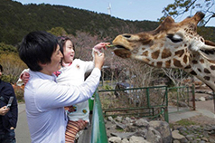 伊豆アニマルキングダム