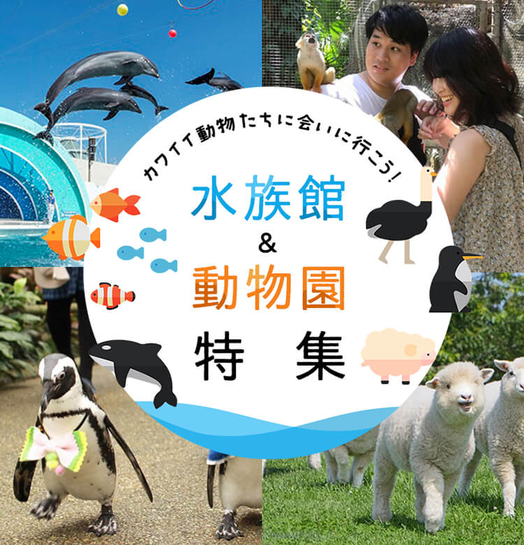 カワイイ動物たちに会いに行こう！水族館&動物園特集