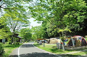 国営讃岐まんのう公園（ホッ！とステイまんのう）