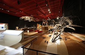 いわき市石炭・化石館「ほるる」